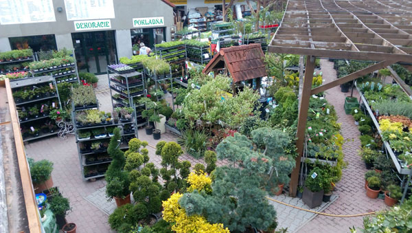 Agroservis Stupava - ponuka rastlín a záhradných dekorácií